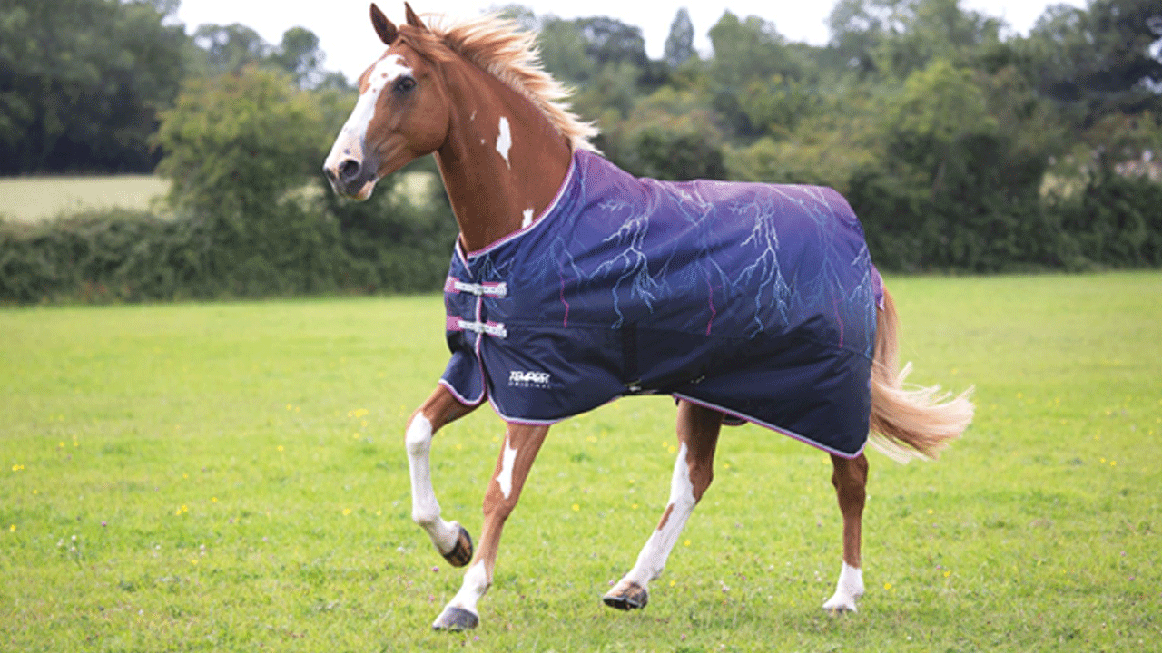 Lower Prices for Everyone Saver Prices Satisfied shopping C QHP ECZEMA