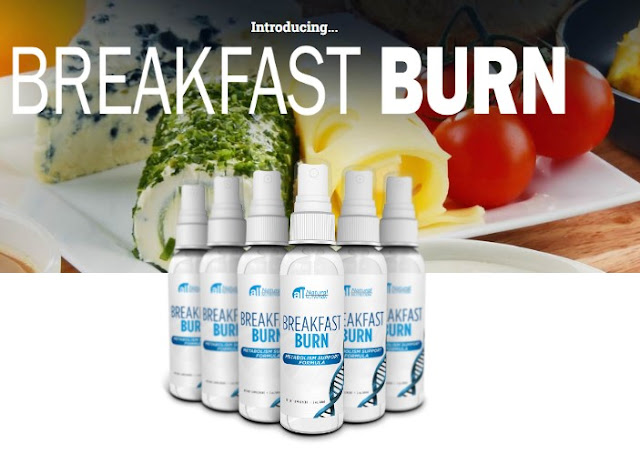 Breakfast Burn Formula #1 Premium Weight Loss Complete Info! | Blush