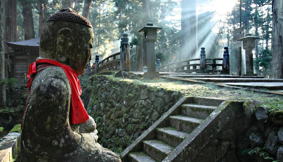 Japan's hidden world of temples | Wander