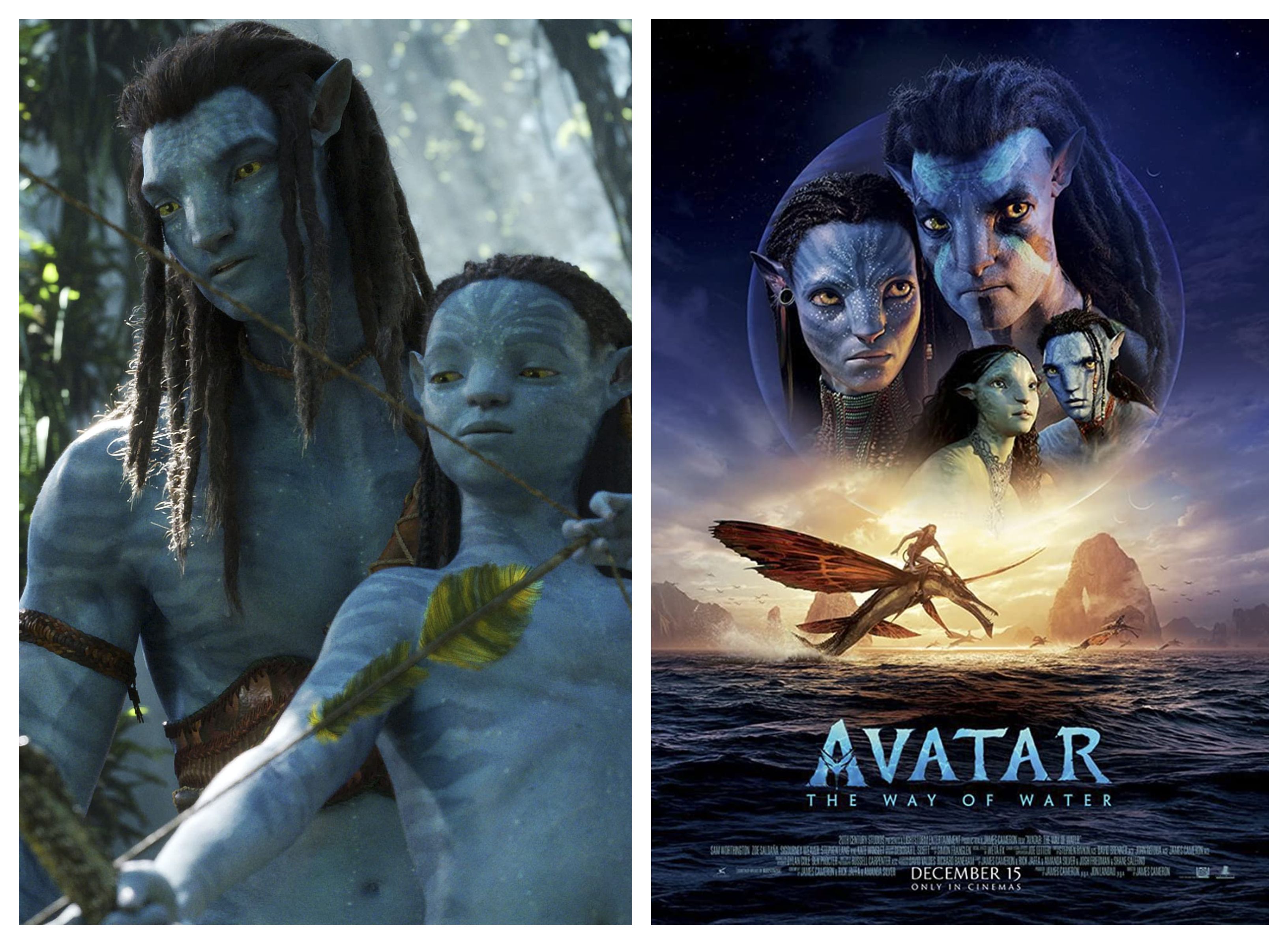 After A Decade, James Cameron Finally Admits That 'Avatar' Is Animated