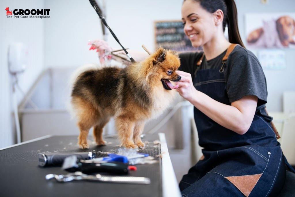 The Ultimate Guide to Dog Grooming in NYC | Petlife