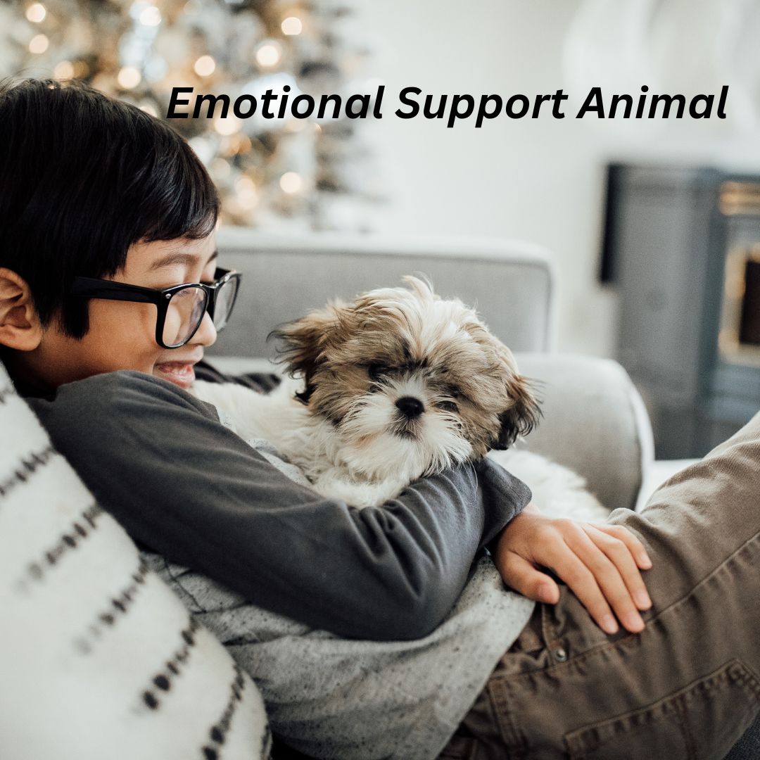 Emotional Support Animal | Petlife Emotional Support Animal | Petlife