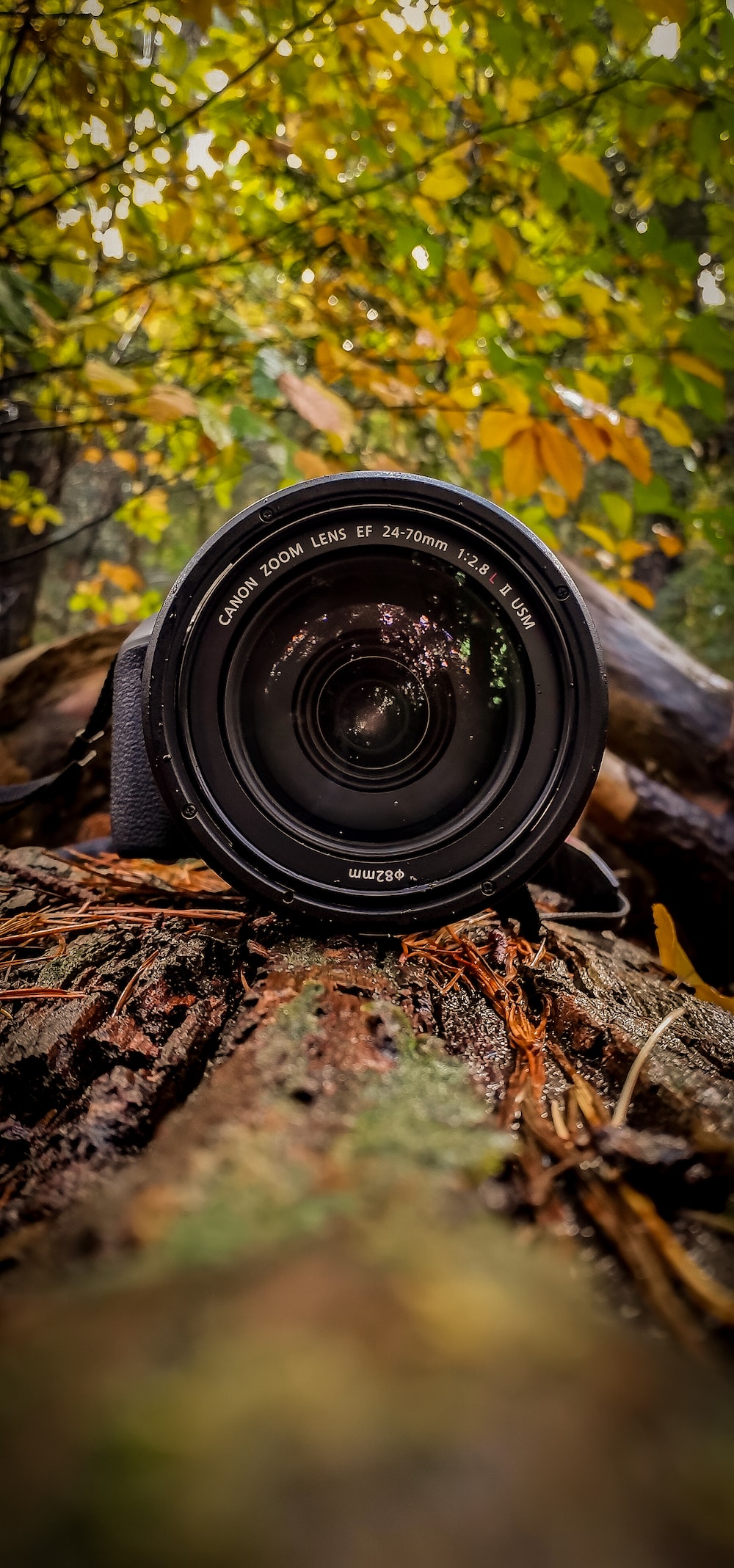 Best Cameras For Photographers