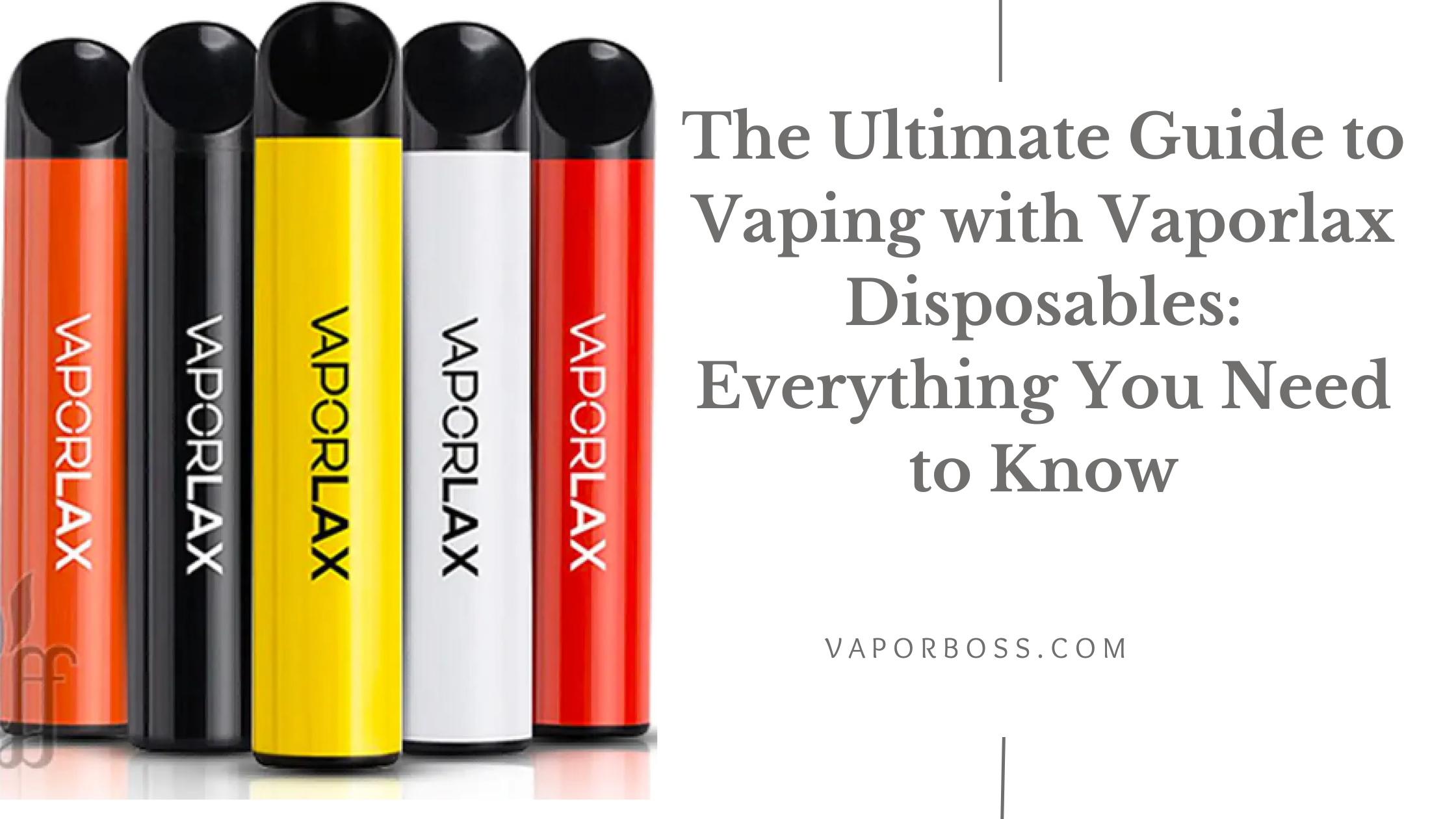The Ultimate Guide to Vaping with Vaporlax Disposables: Everything You Need  to Know