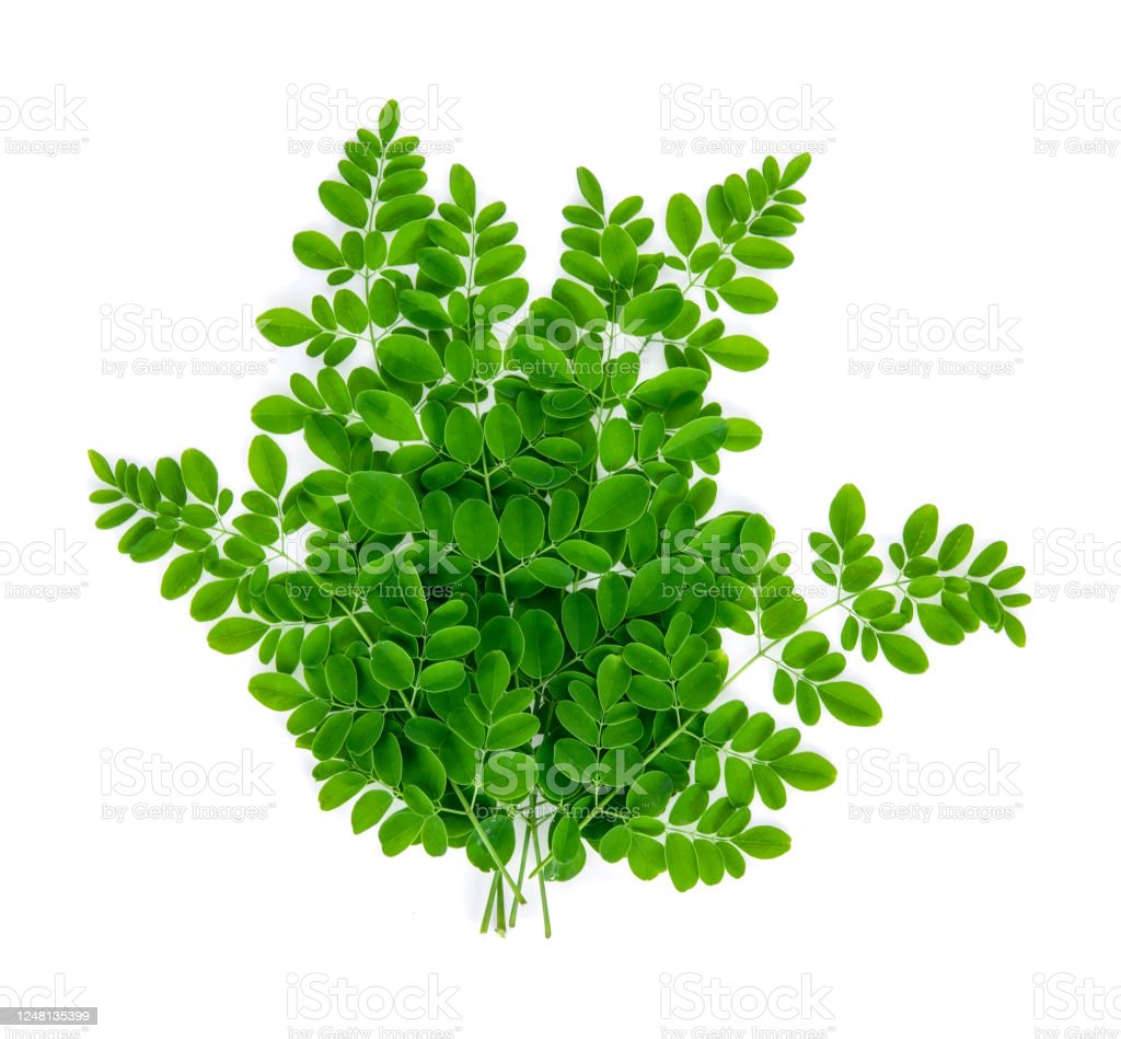 planters wien Mayne Vienna 25-Inch Self-Watering Urn Planter – Mayne Inc. US main image 1