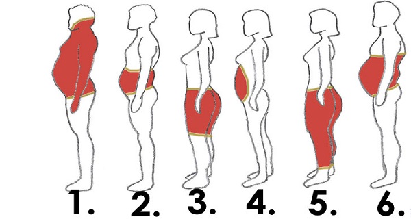 Fat Distribution Patterns How To Lose Belly Fat — A Strength