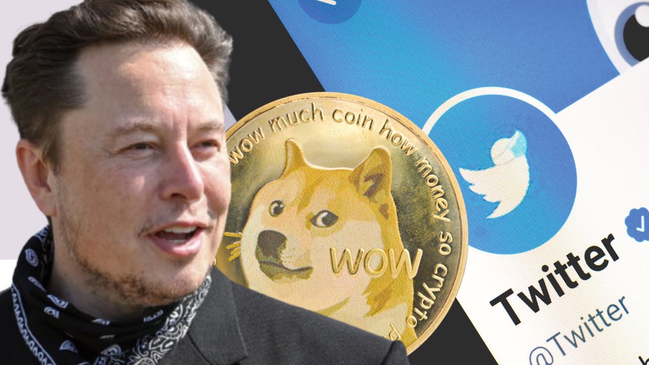 Doge Scam & Elon Musk: Beware! | Trader