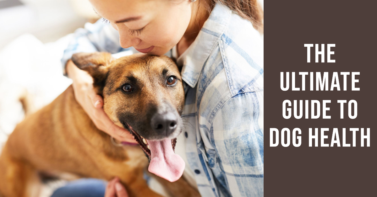 Dog hotsell health guide