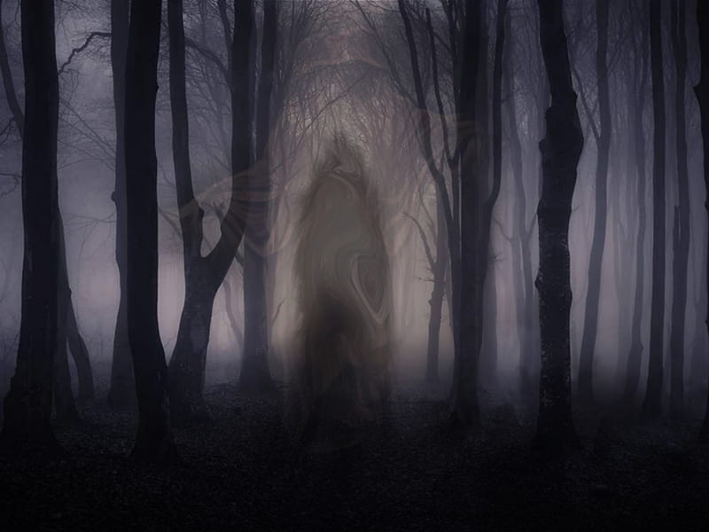 The Urban Legend of The Shadow Walker