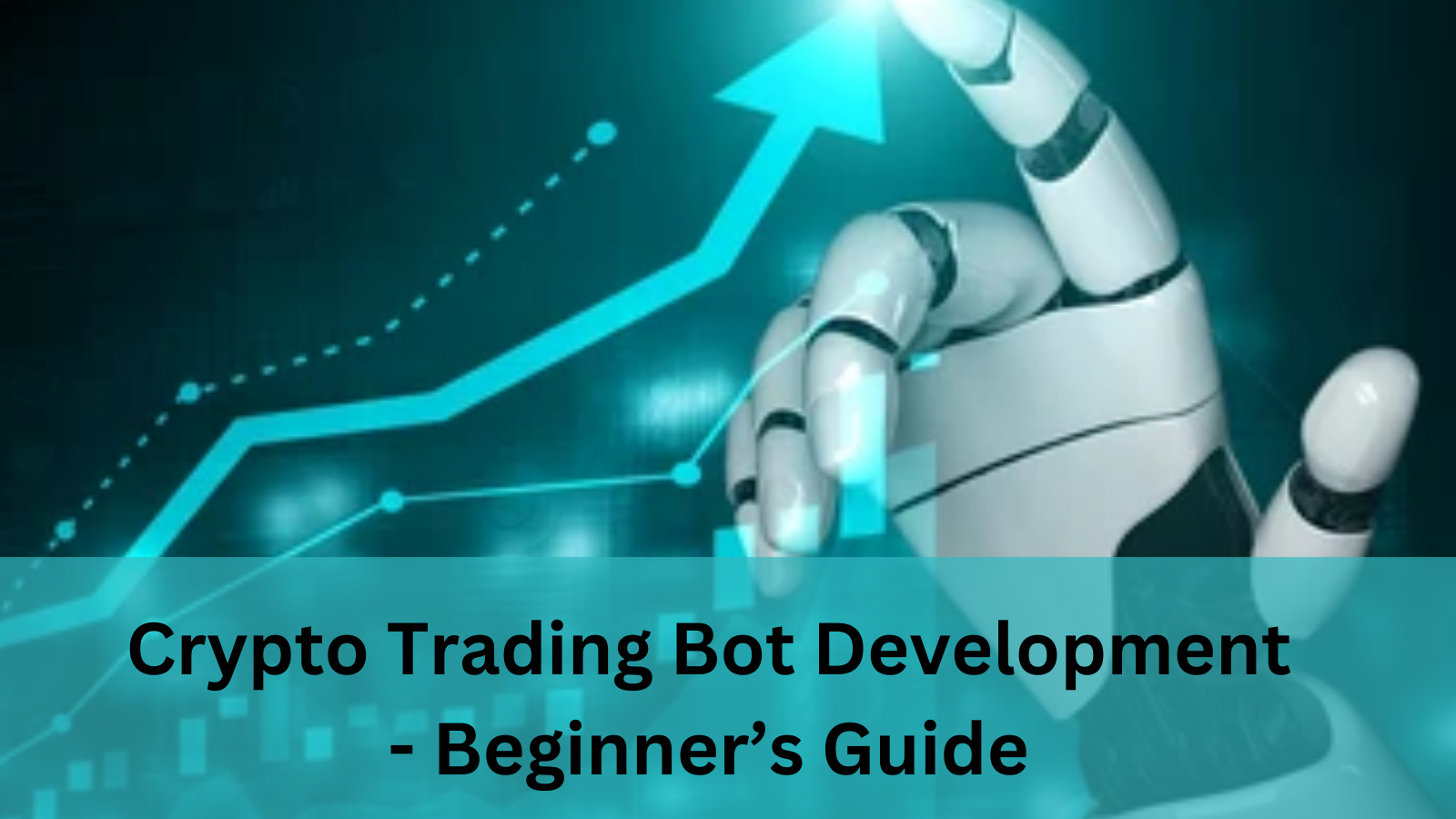 Top Crypto Trading Bots - Guide for Beginners | Education