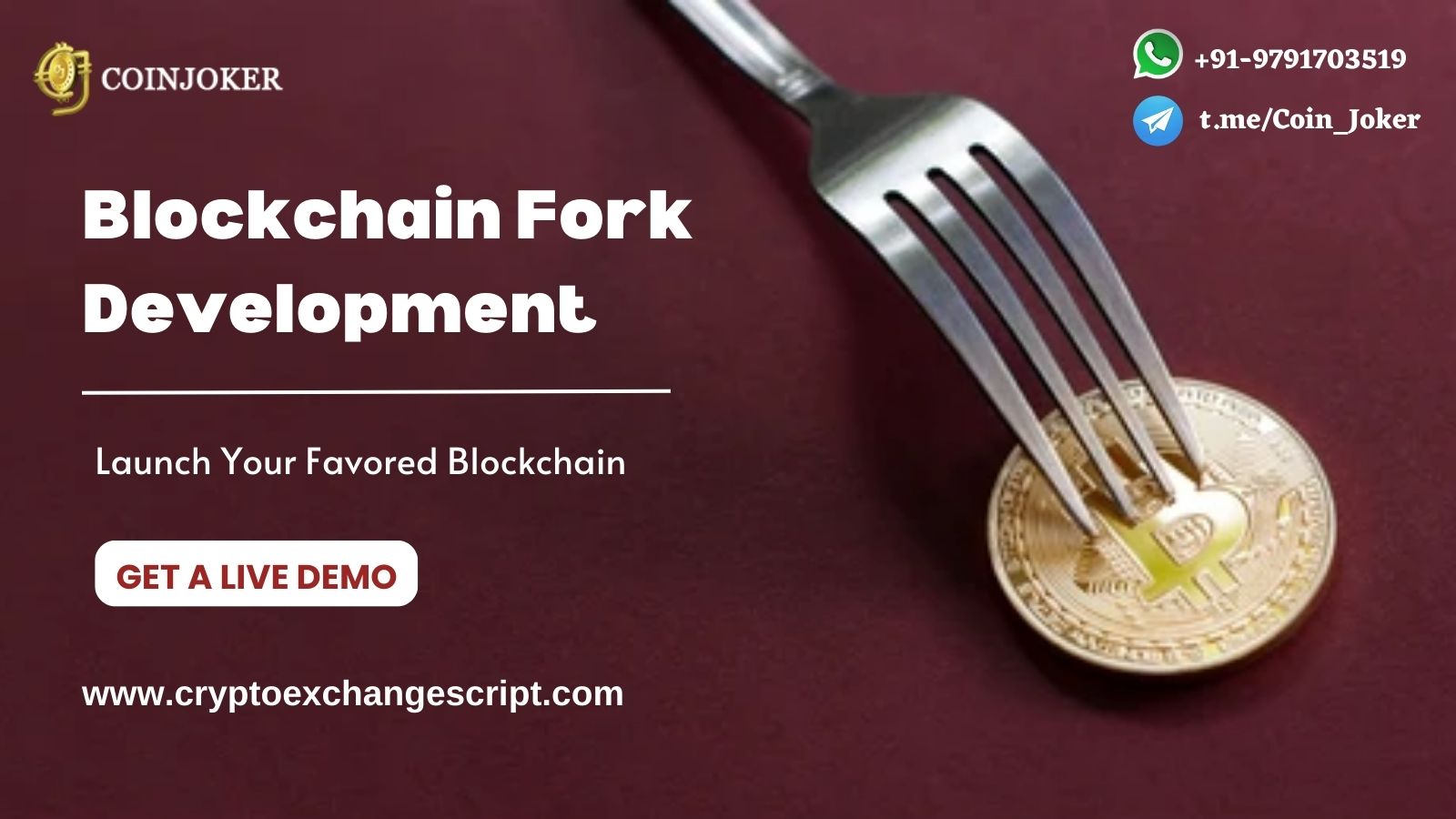 Everything You Need to Know About Blockchain Fork Development | Fiction