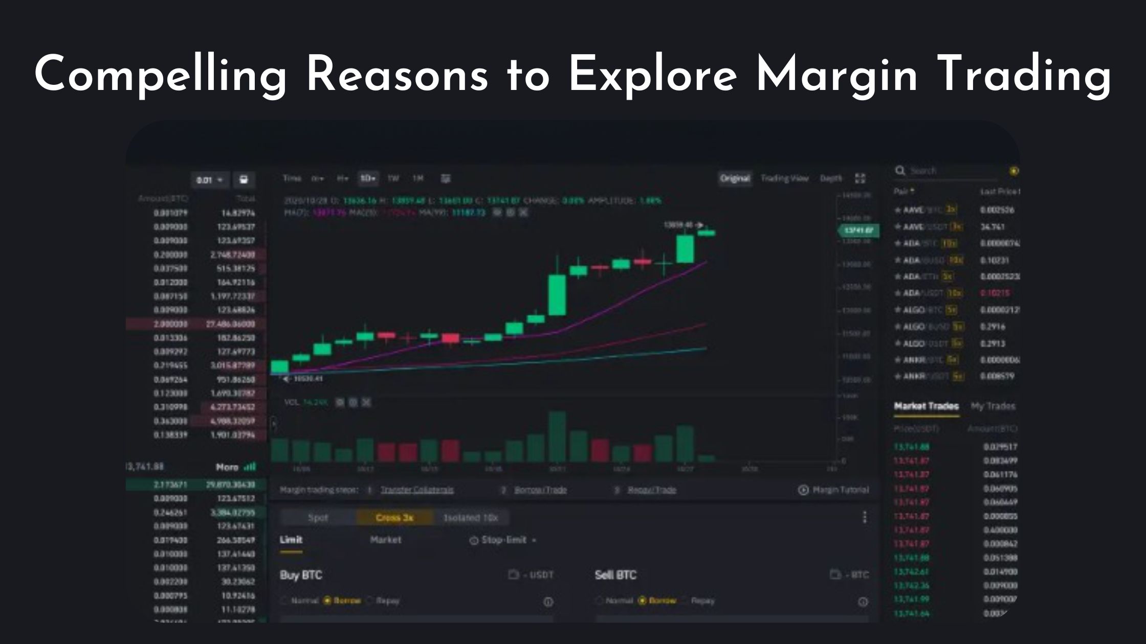 Where can I find the most successful & secured Binance clone? | The Chain