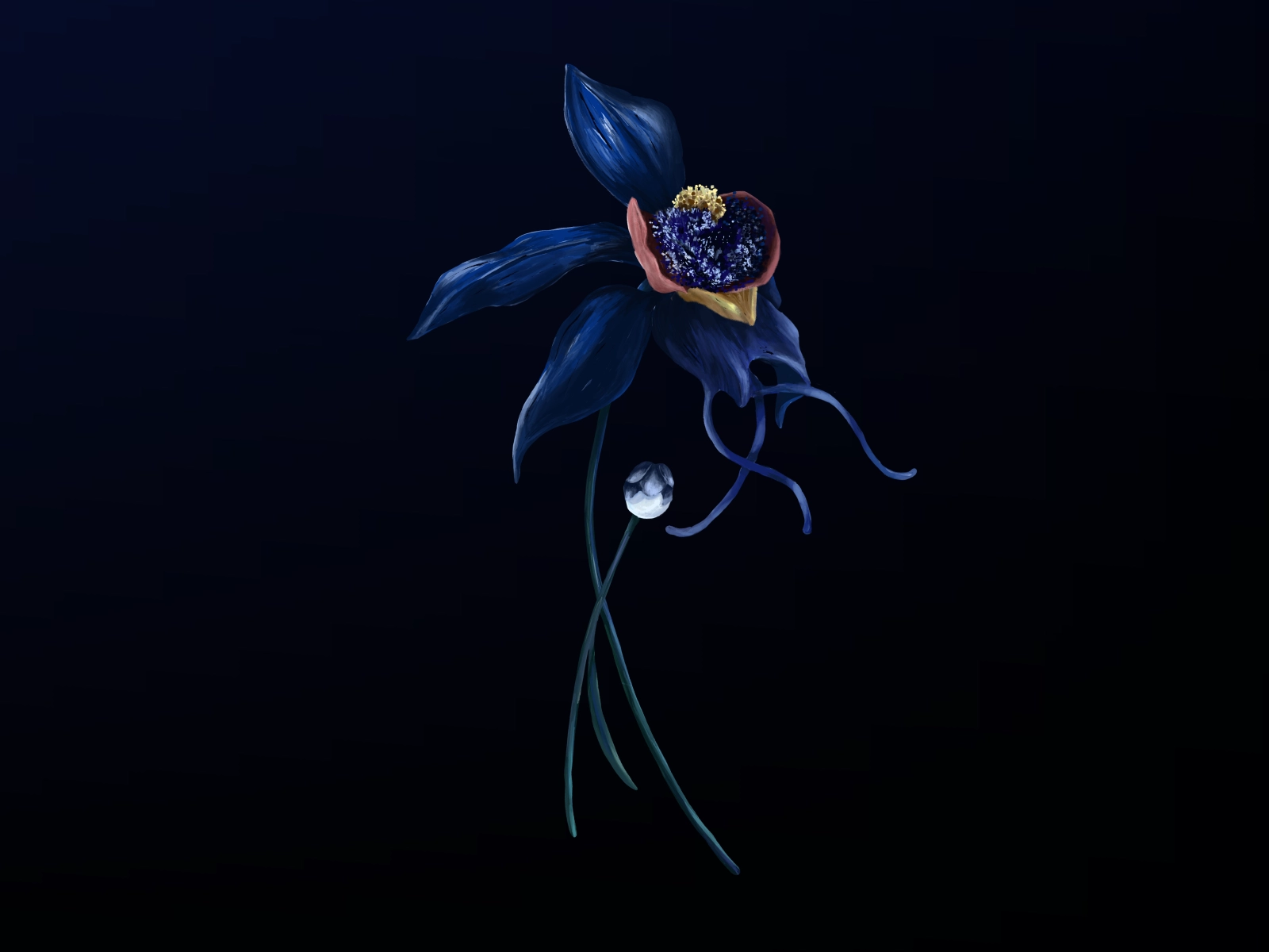 Have you heard about the blue ghost orchid??