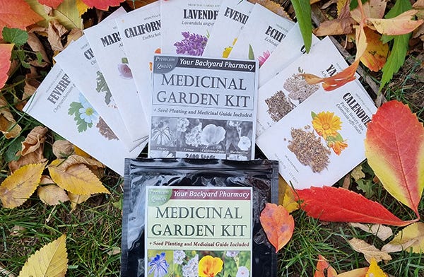 Medicinal Garden Pharmacy Backyard