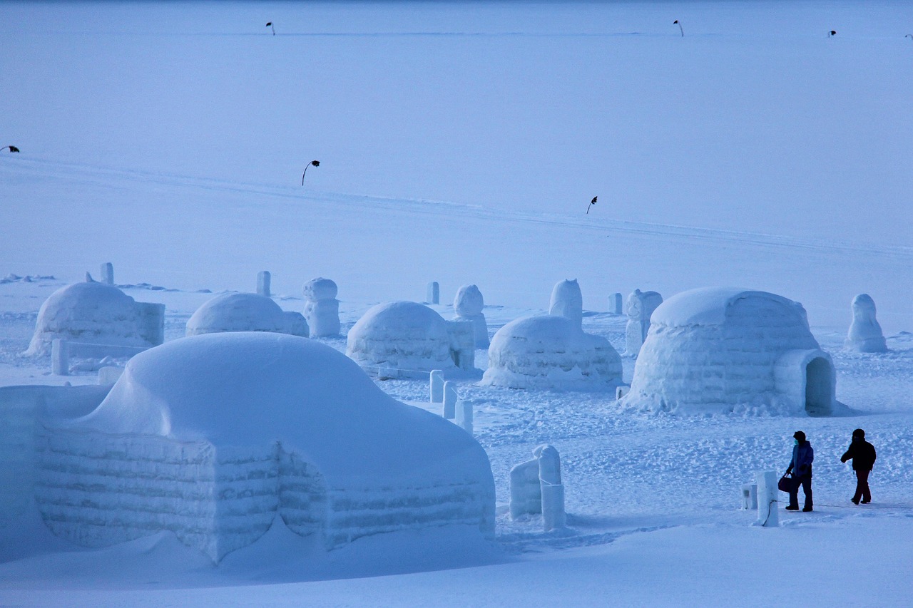 How igloos are built in a spiral : r/educationalgifs