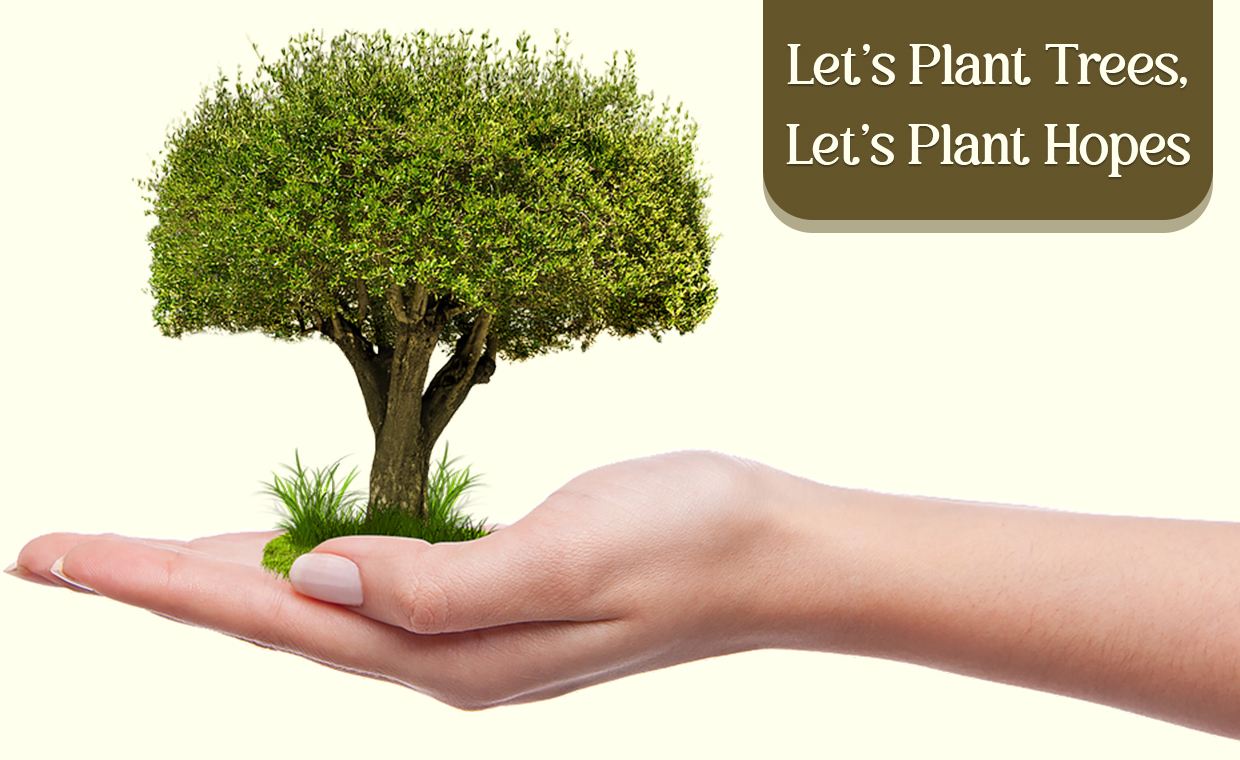 The Vital Importance of Tree Planting for Humans | Humans