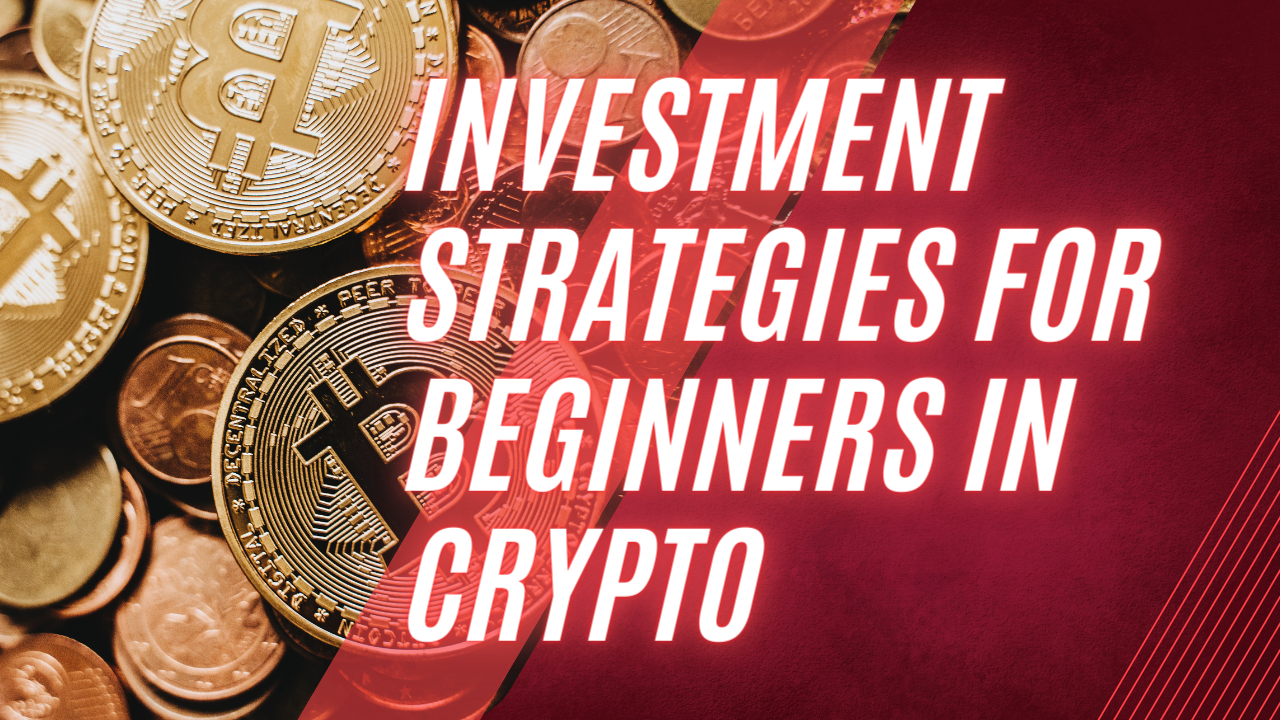 Investment strategies for beginners in cryptocurrency | Humans