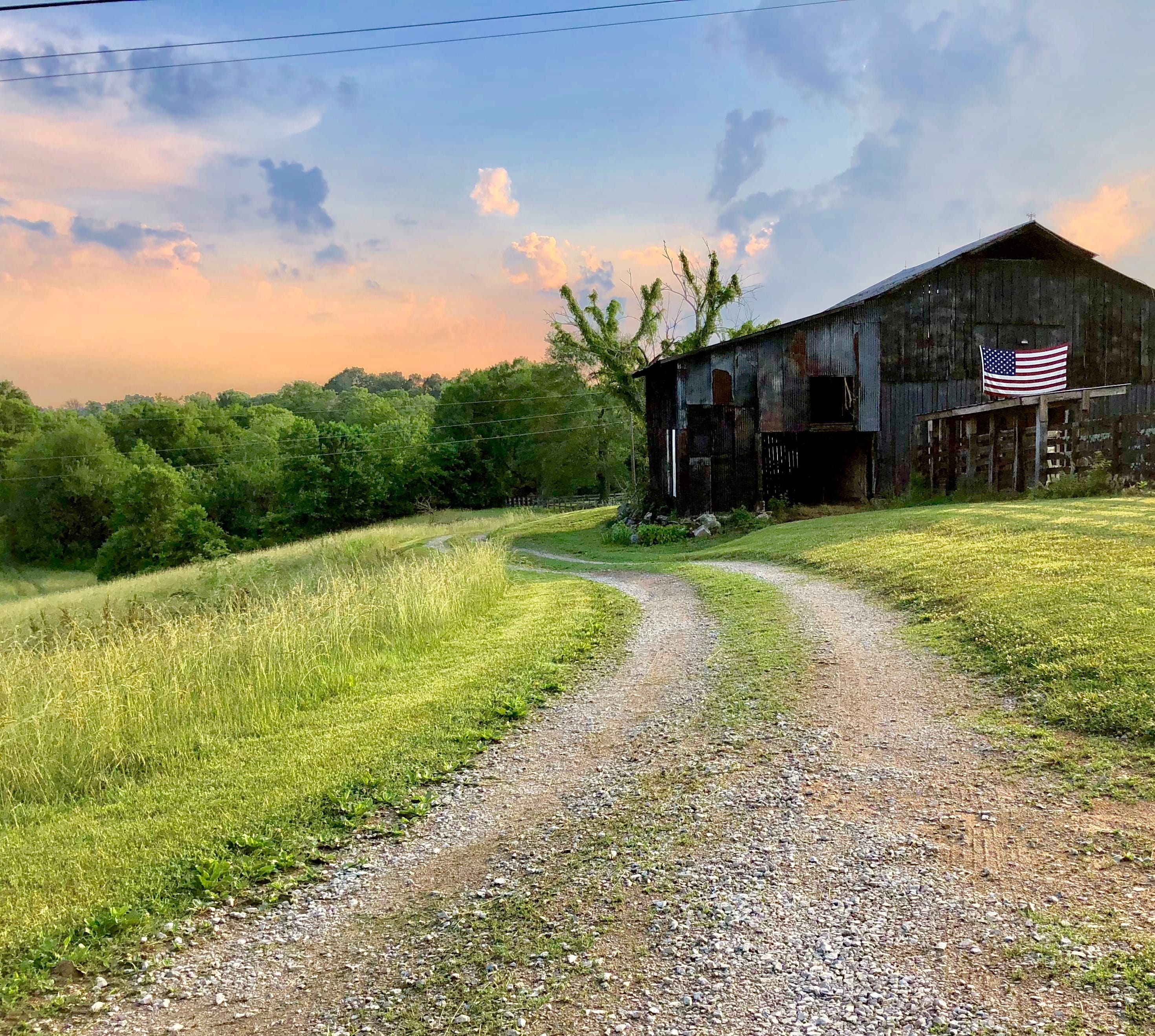 Next Great [American] Novel