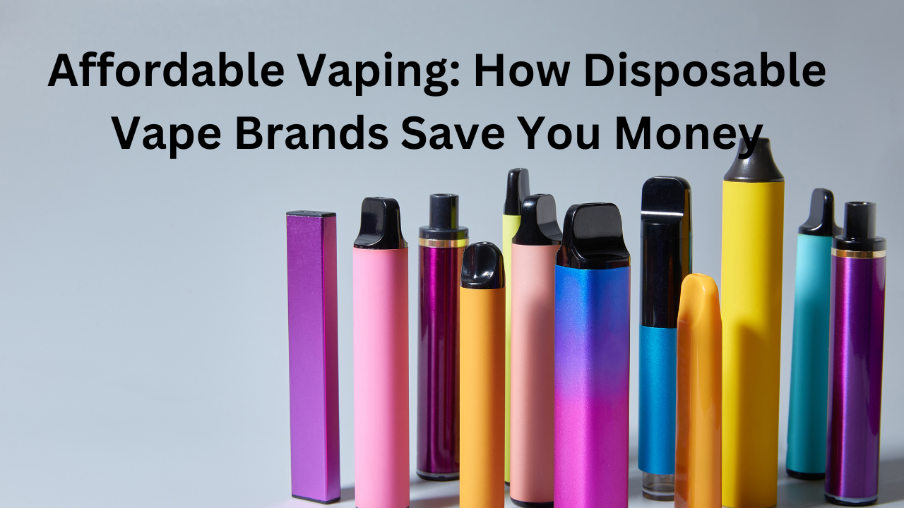 vape 600 puffs Affordable Vaping: How Disposable Vape Brands Save You Money