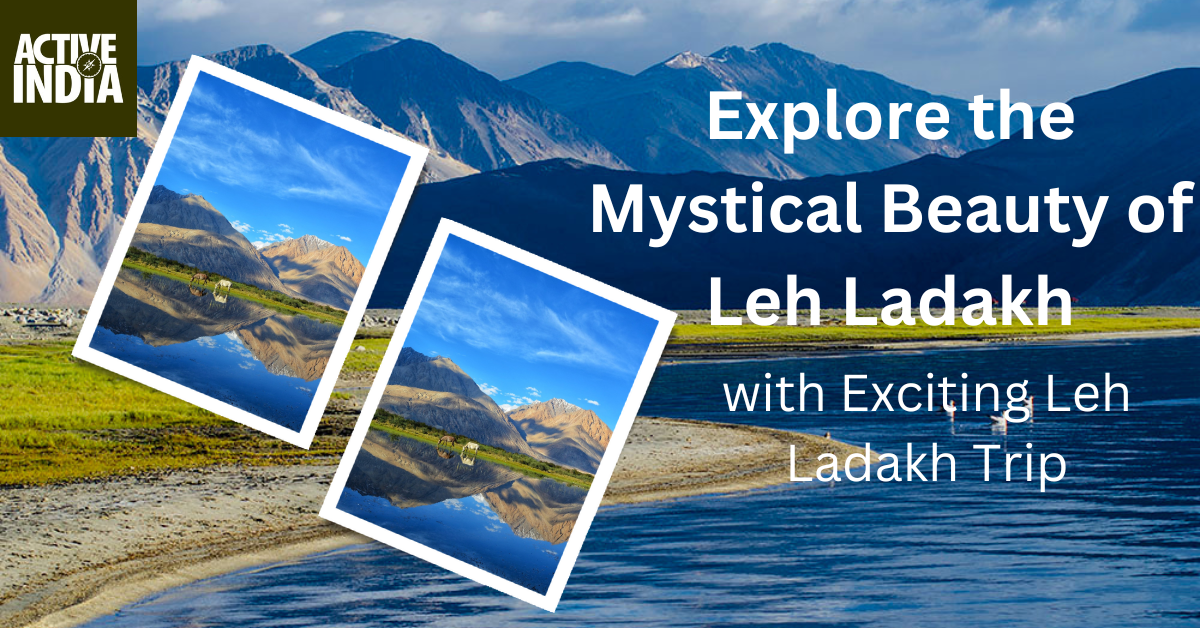 Discover the Enchanting Nubra Valley in Ladakh, India