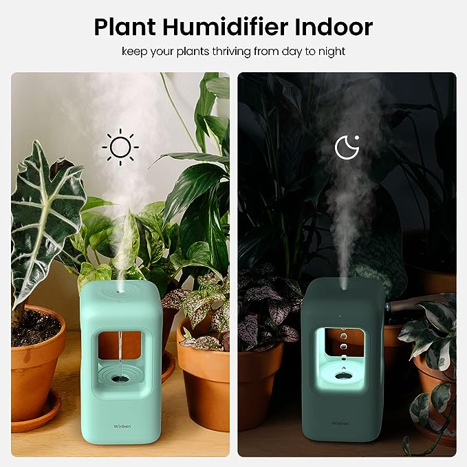 Winben Humidifiers for Bedroom: Elevate Your Indoor Comfort | Education
