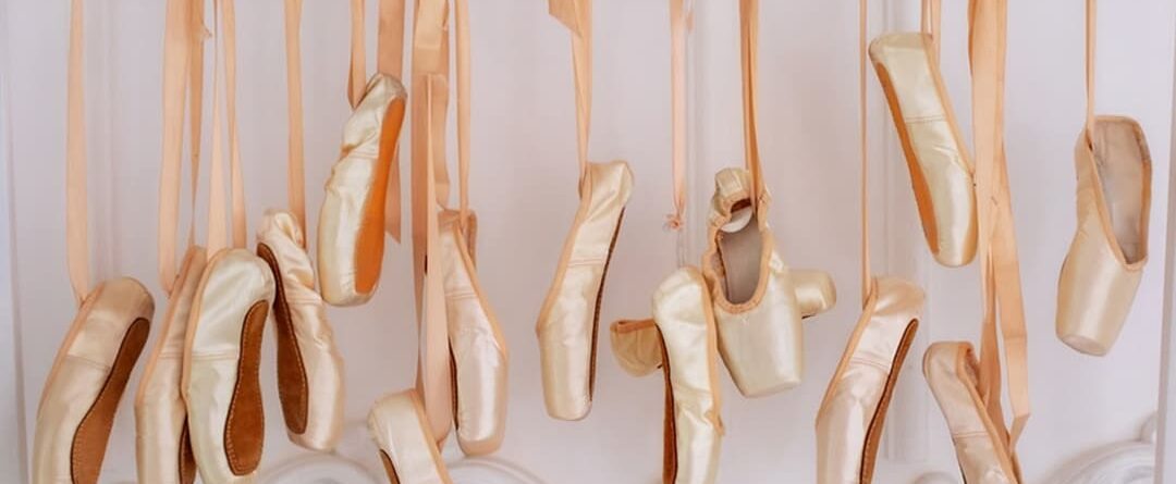 Anatomy of a Pointe Shoe — Ballet Fusion