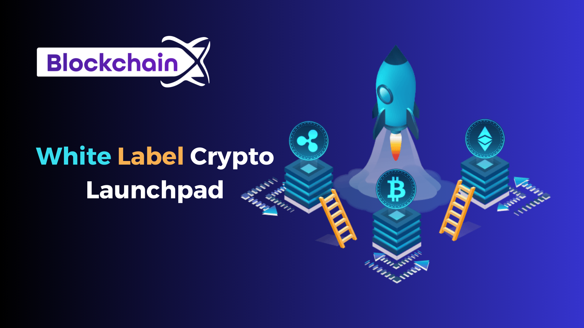 What are some of the top white label crypto launchpad solutions available  in the market today? | 01