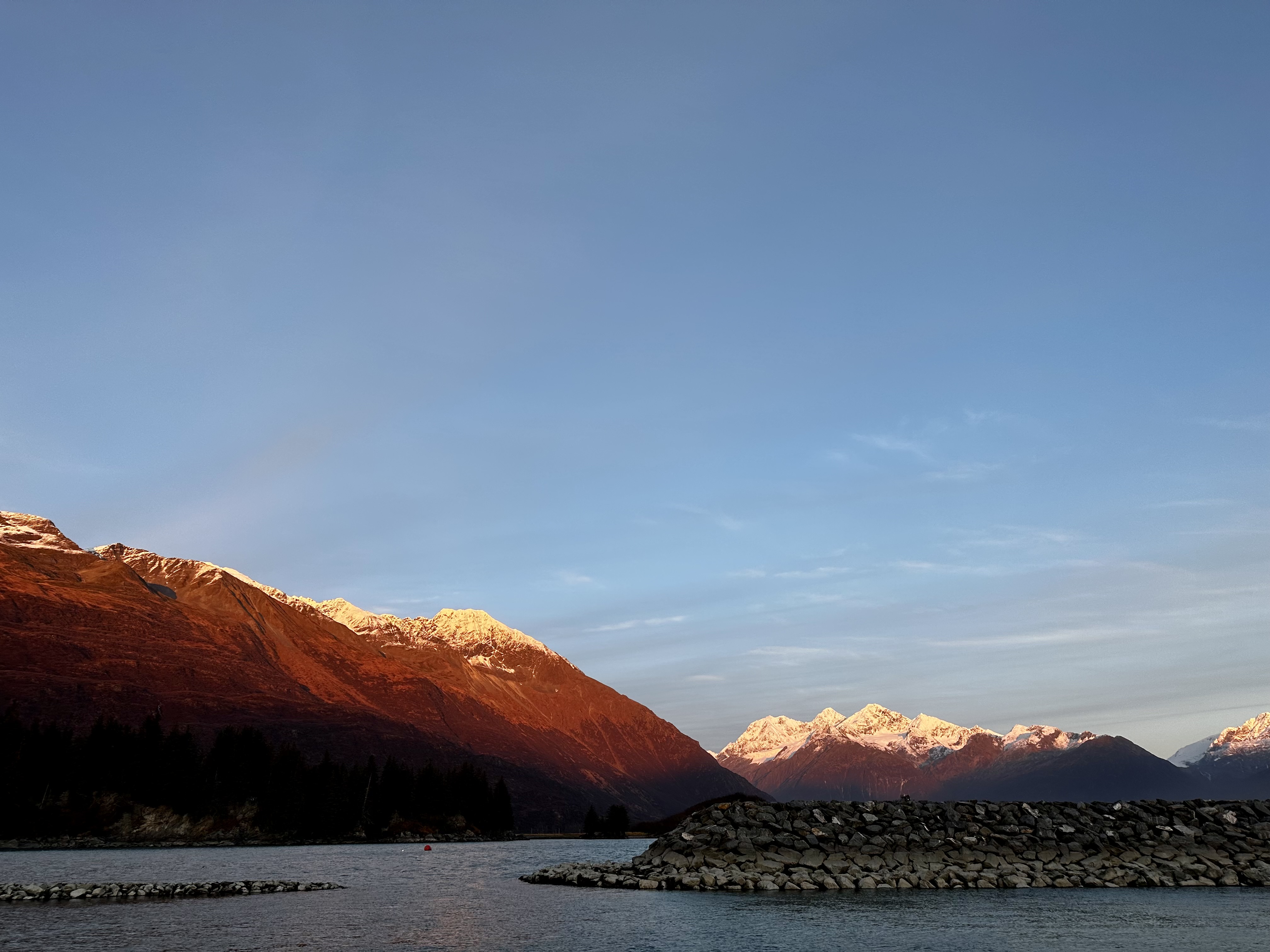 Discover the Delight of Alaskan Sockeye Salmon - A Culinary Delight from  the Last Frontier