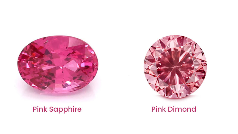 Әлемдегі ең қалың және ең үлкен пенис