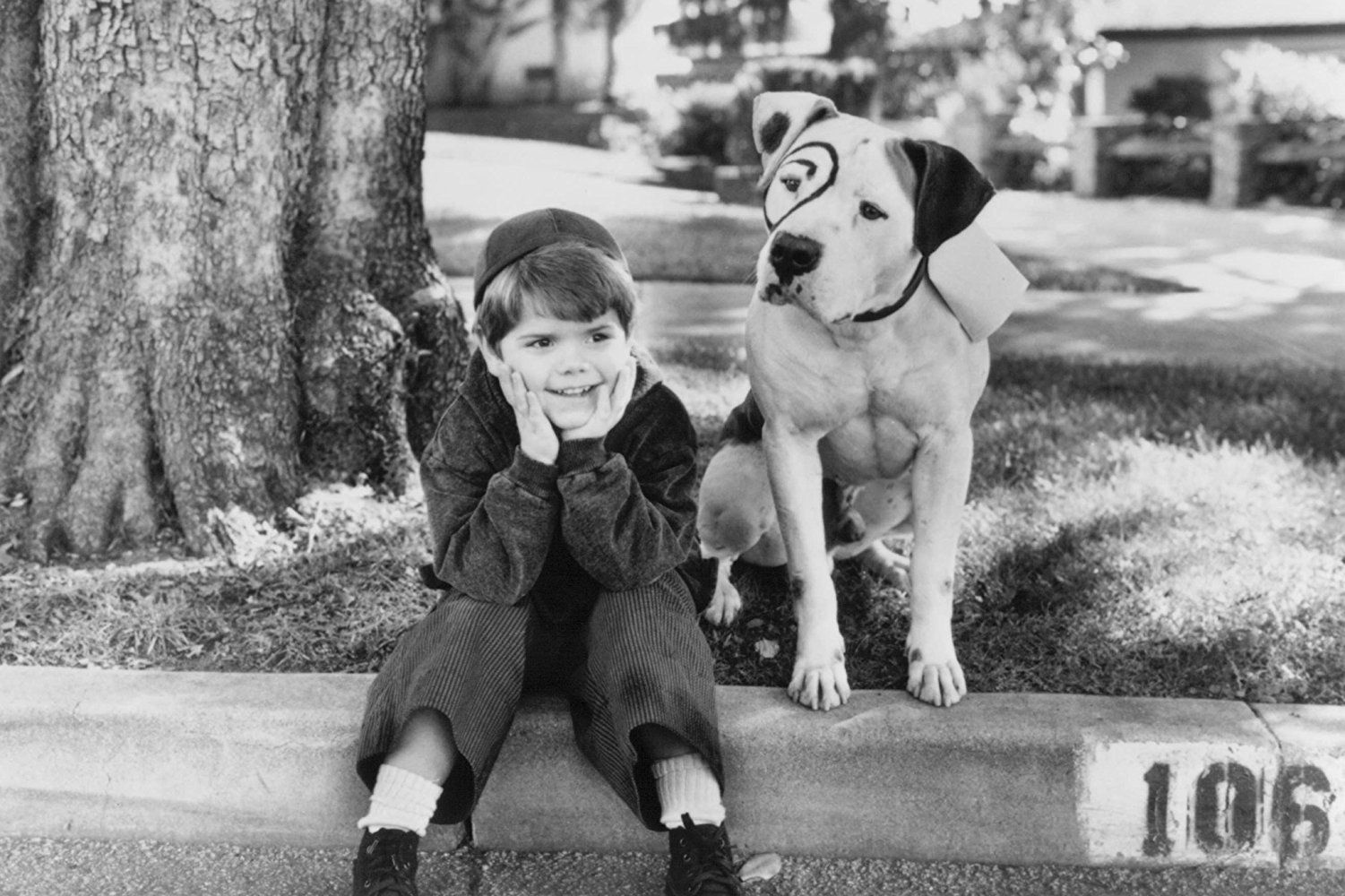 What type of dog was petey from the little rascals 2025
