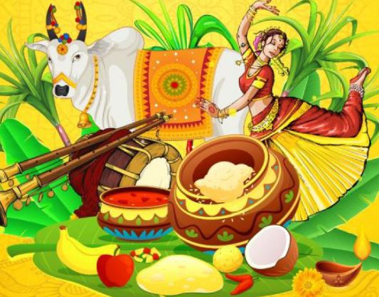 Pongal festival 2024