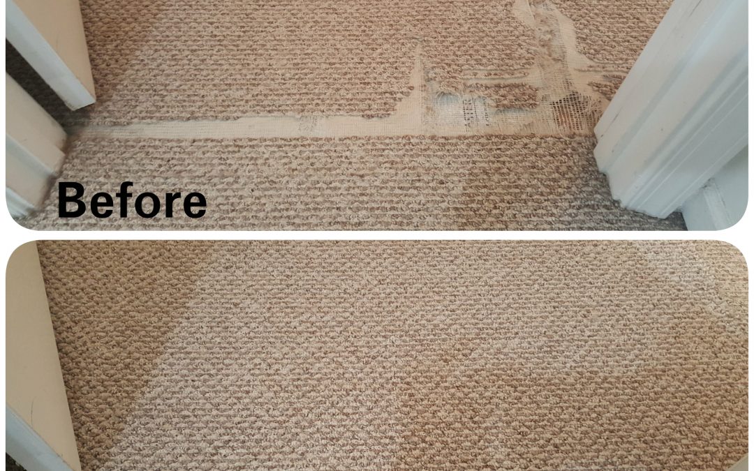 Carpet repair discount