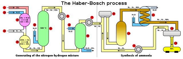 Haber process | Education