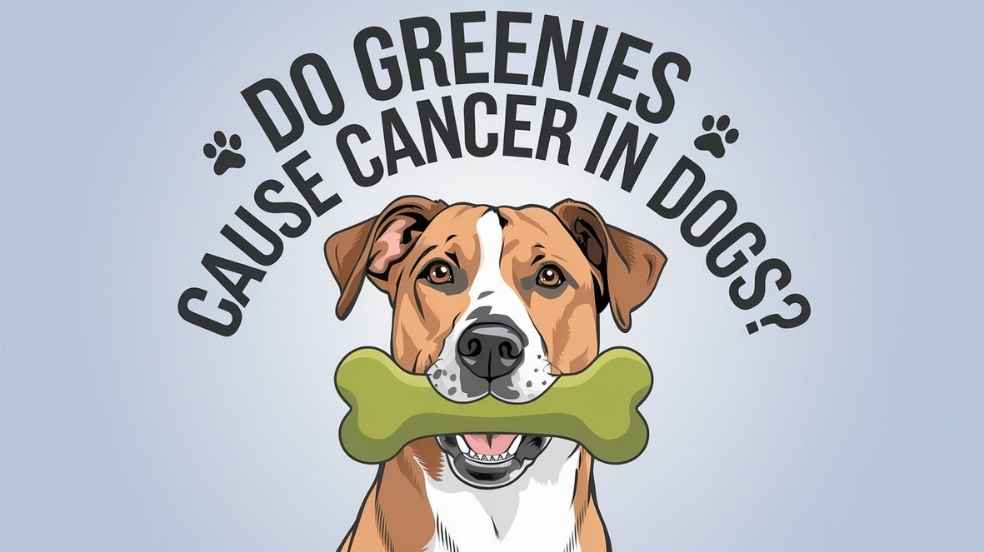 Do Greenies Cause Cancer in Dogs? Vet Insights Debunk Myths