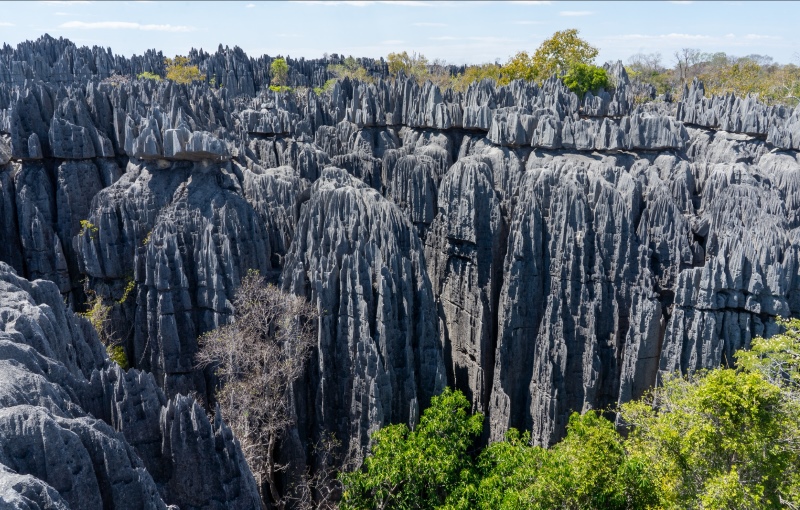 Tsingy de Bemaraha: The Sharp Beauty of Madagascar's Forest of Knives |  Chapters