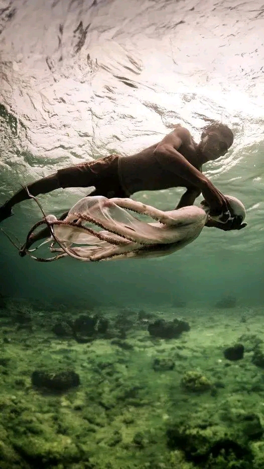 The Bajau People: Evolution's Incredible Adaptation to Life Under the Sea |  Earth