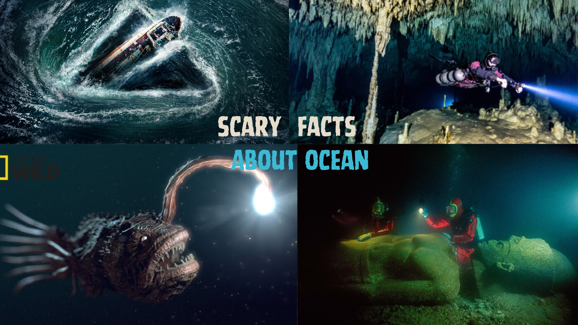 Facts About Deep Sea Creatures - Infoupdate.org