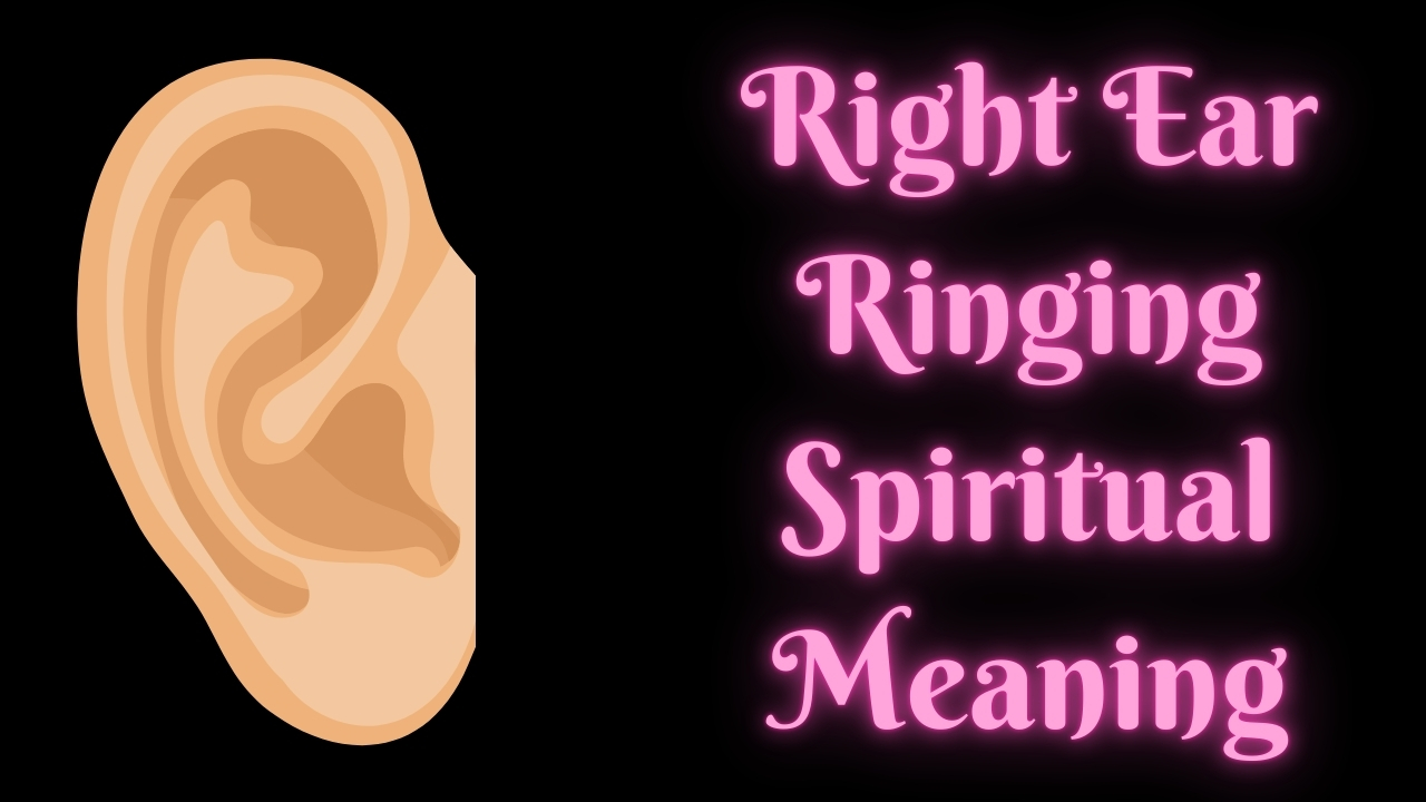 what is vibrate on silent on iphone Ear Nose and Throat main image 0