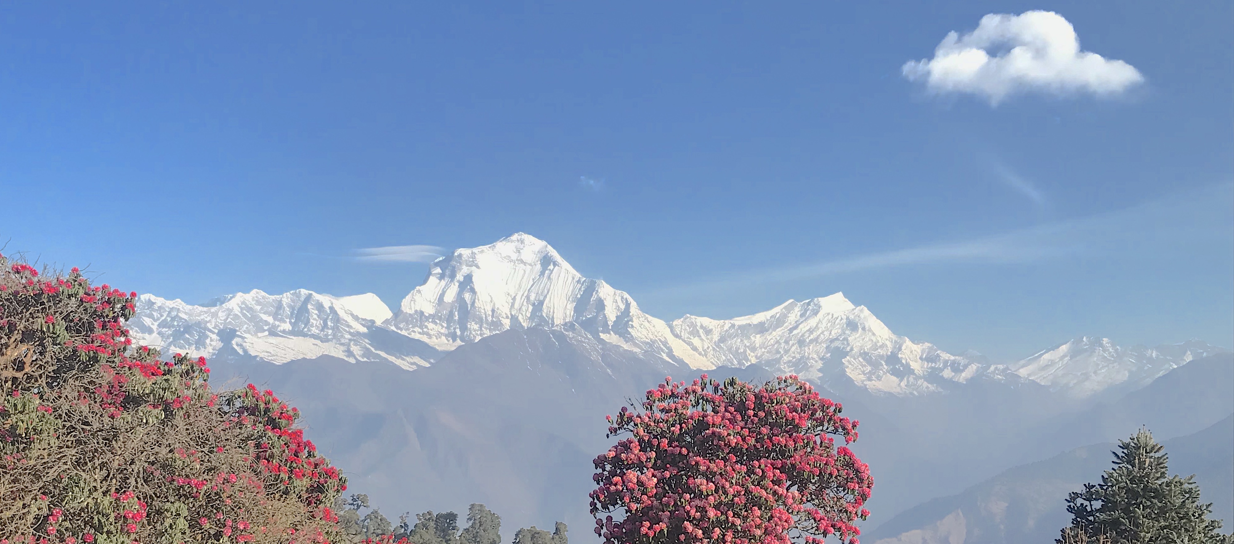 Trekking in Paradise: Why Nepal Reigns Supreme for Adventure and Nature Seekers - Conclusion and Recommendations