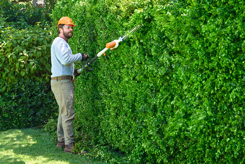 Essential hedge trimming