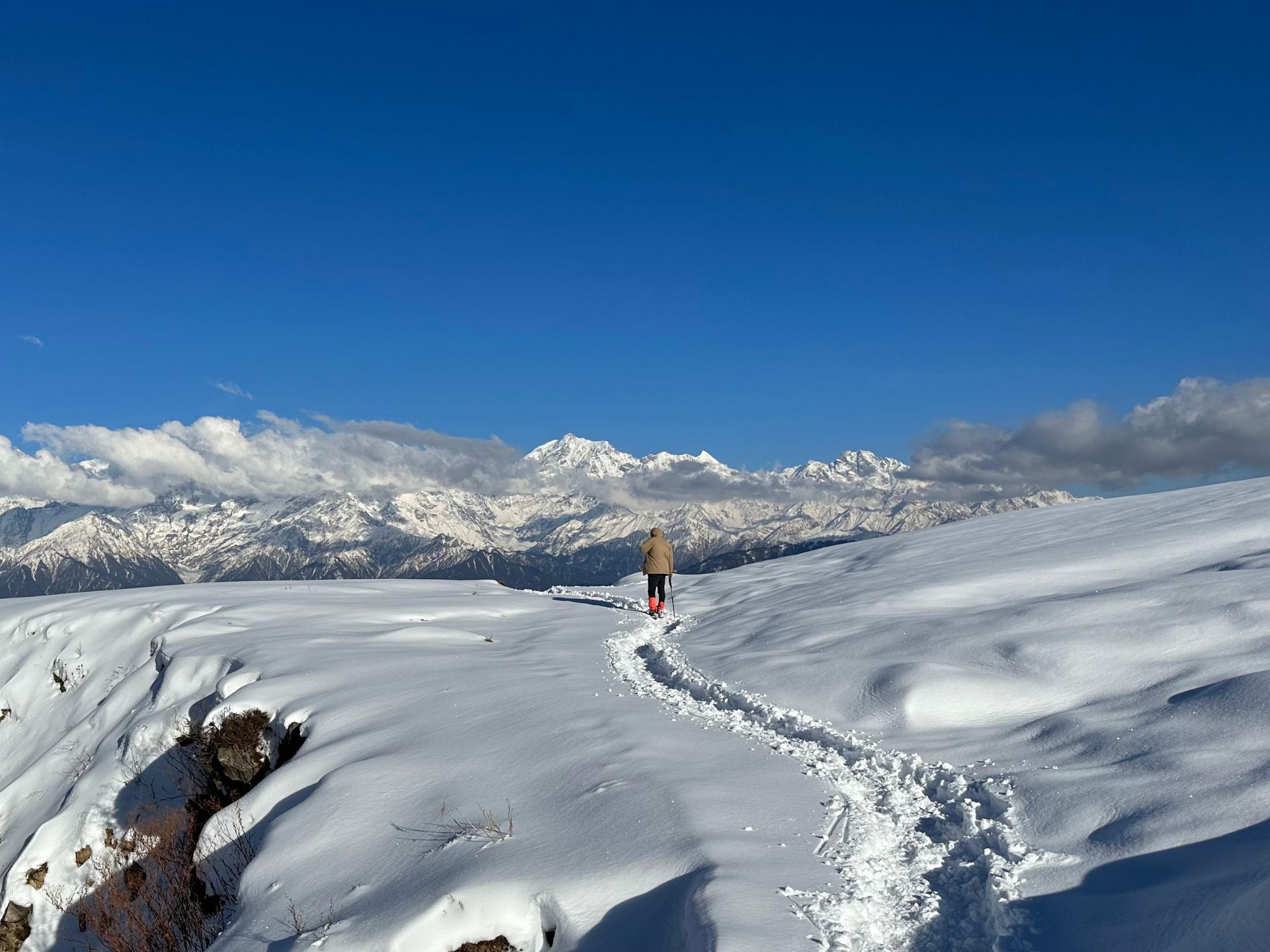 Dayara Bugyal in Winter: A Snow Trekker's Dream | Journal