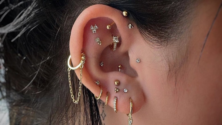 Affordable Ear Piercing Prices: What to Expect | Education