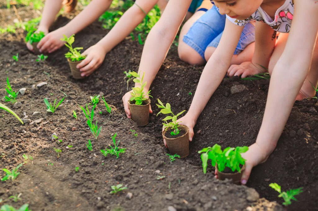 Top Garden Tips for 2025: Grow a Thriving Green Space | Education