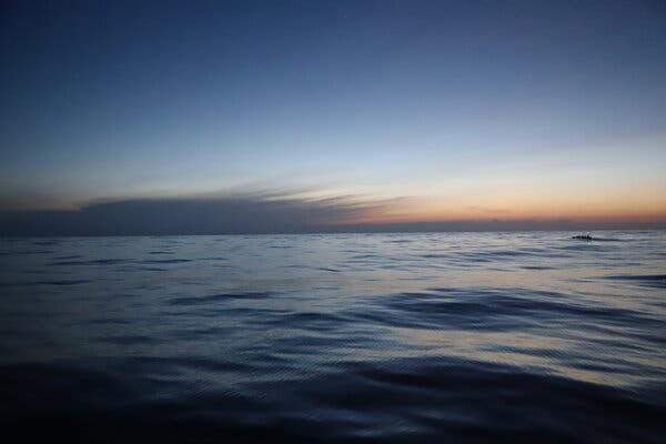 Scientists Retrace 30,000-Year-Old Sea Voyage, in a Hollowed