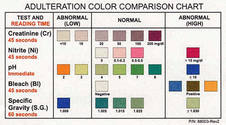 Creatinine Urine Levels Chart