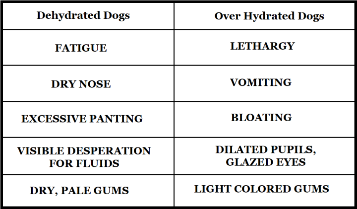 Canine Dehydration Chart