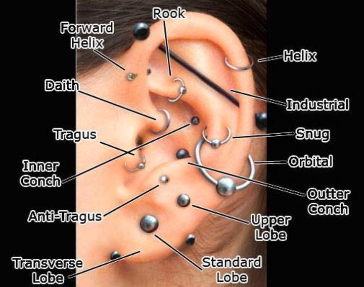 8 Amazing Cartilage Ear Piercing Ideas To Enhance Your Beauty