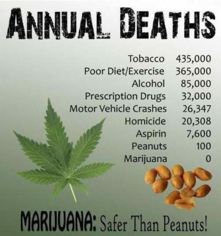 Marijuana Pros And Cons Chart