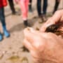 Close of of someone showing a group some seaweed