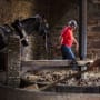 Three people in red tshirts and a large black horse crush apples in a stone apple crusher